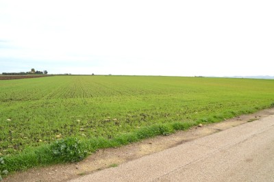 Dettagli
